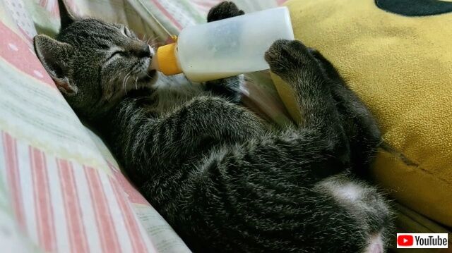 bottle2_640