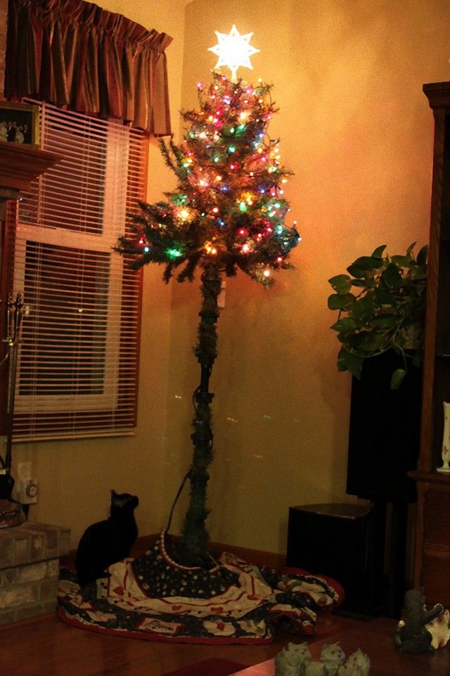 protecting-christmas-tree-from-dogs-cats-pets-5a
