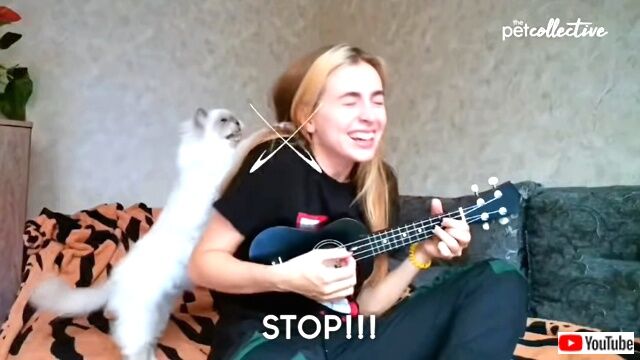 bestpets20210511_4_640