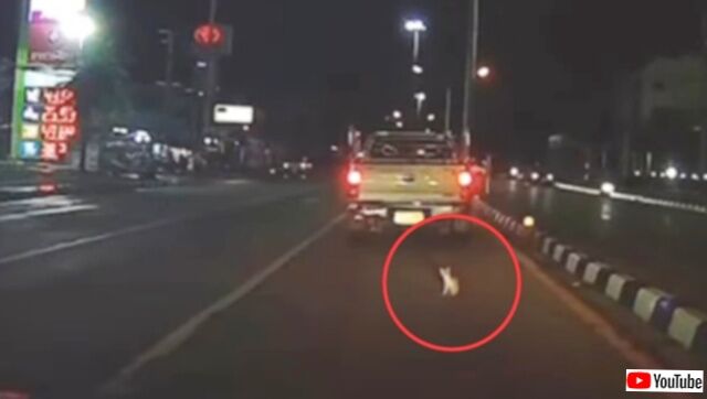 20231109_115908 (3)_batch