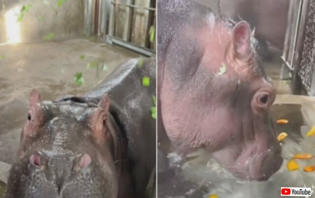 20240121_073552_batch