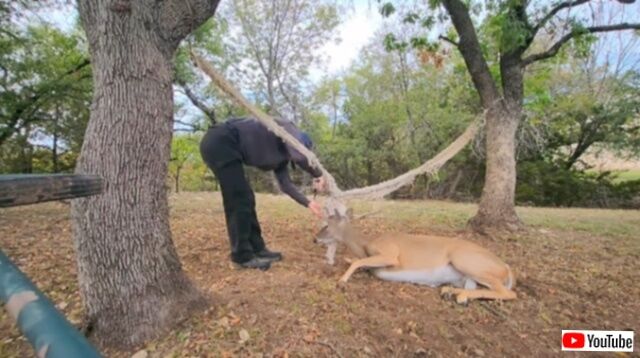 20231025_221758 (4)_batch