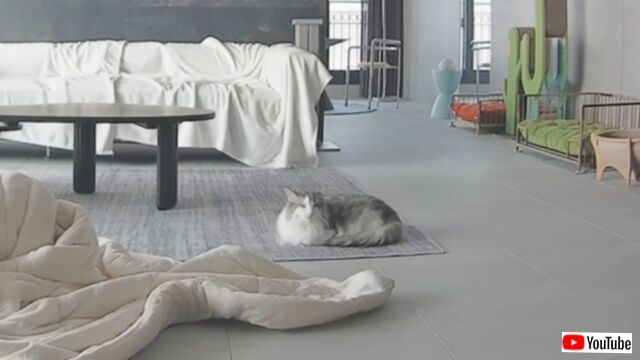 20240210_184615 (4)_batch