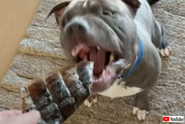 20231108_085614 (4)_batch