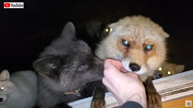 20220408_005258 (2)_batch