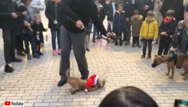 20230726_080408 (7)_batch