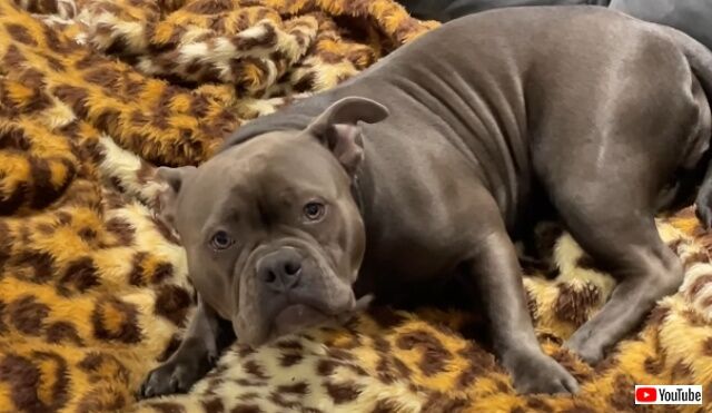 20220727_112610 (5)_batch