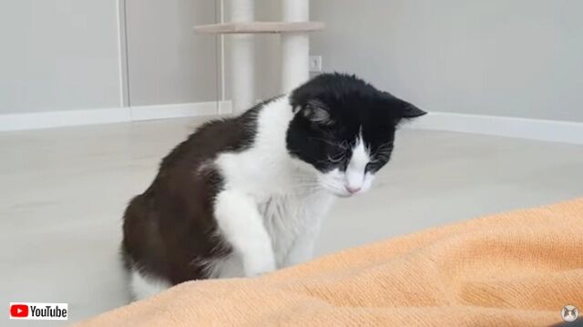 20230318_111856 (4)_batch