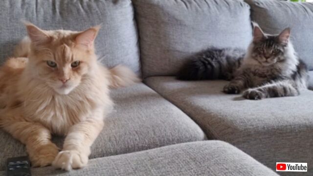 20231020_220532 (6)_batch