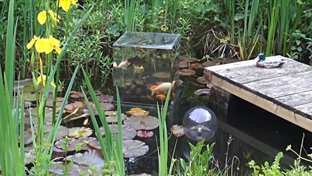 fishtower6