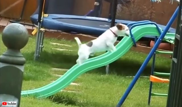 slide4_640