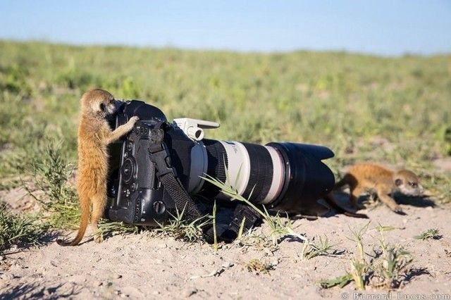 photographers5_e