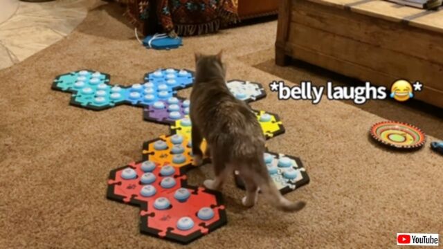 20240119_073418 (4)_batch