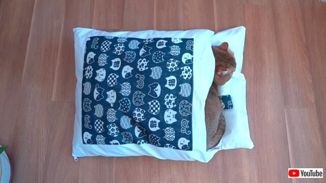 futon5_640