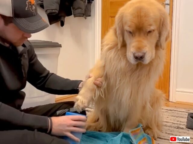 20231202_074653_batch