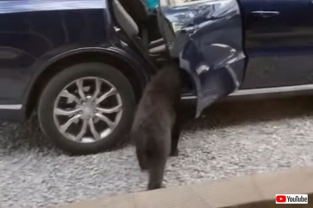 20220710_040432 (3)_batch