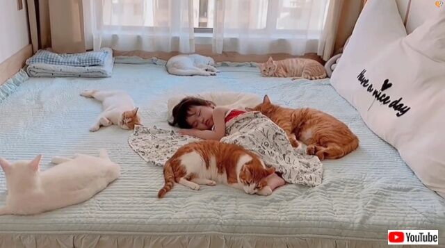 lovelypets4_640