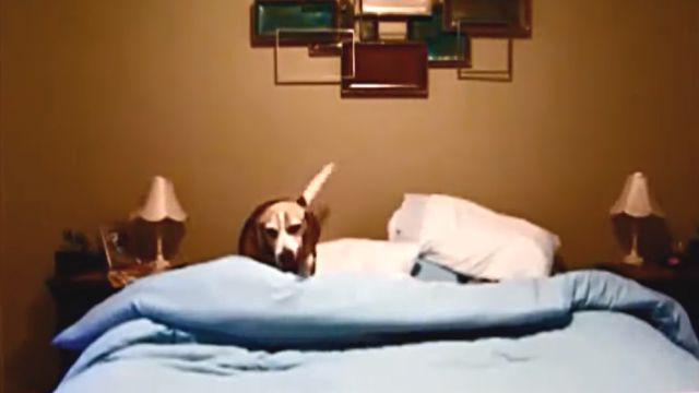 bedmaiking1