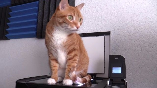 copycat4_e