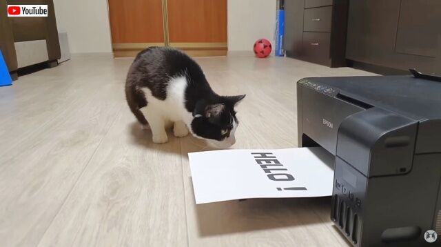 20221203_055326 (2)_batch