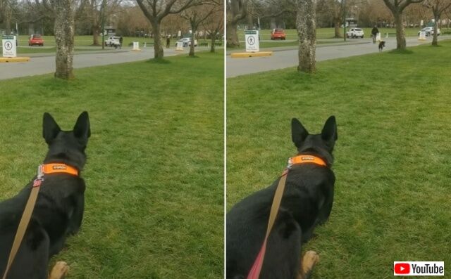 20220405_194419 (2)_batch