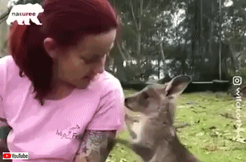 ねえねえチューしよ チュー と 女性の唇をひたすら奪おうとするカンガルー マランダー ねえねえチューしよ チュー と 女性の唇をひたすら奪おうとするカンガルー マランダー