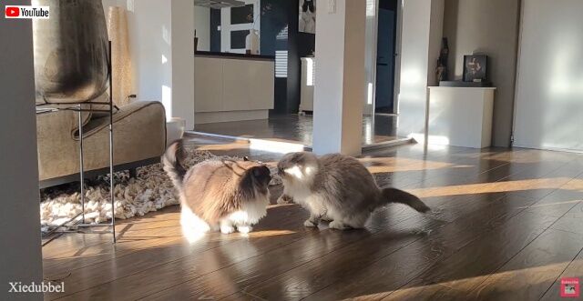 20230210_121724 (2)_batch