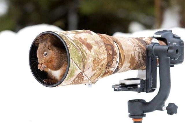 photographers11_e