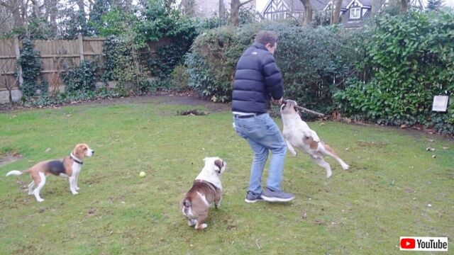 20230227_195229_batch