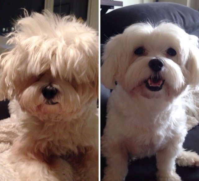 beforeafter9_e