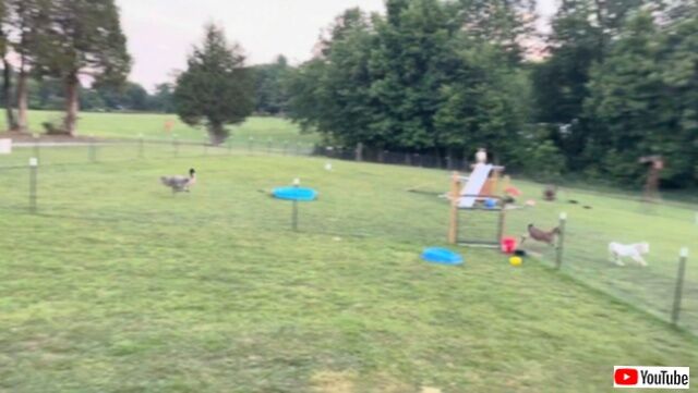20230812_114315 (4)_batch