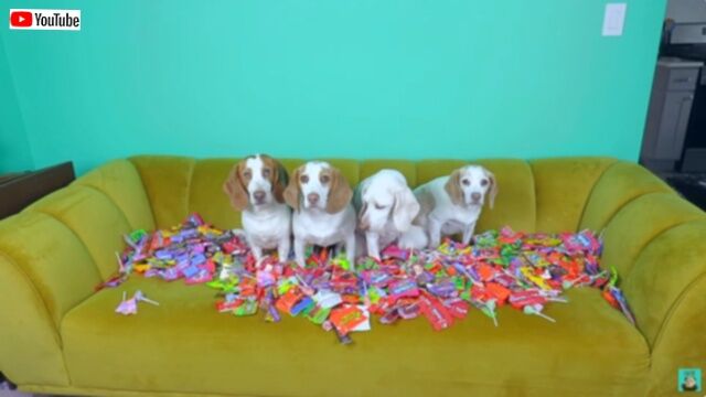 20231103_212924 (2)_batch