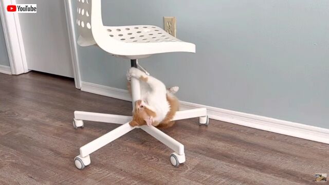 20221107_115900 (3)_batch