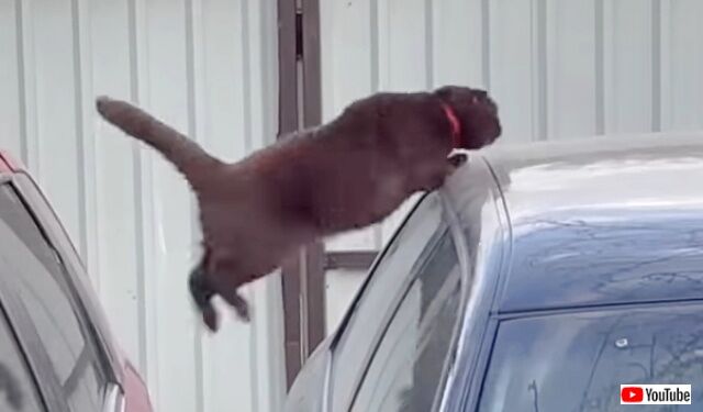 20221016_182128 (3)_batch