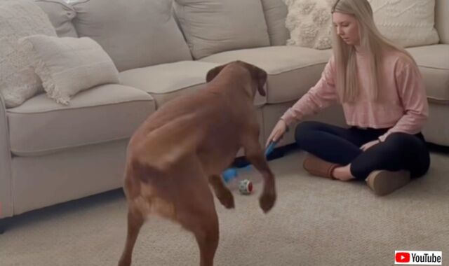 20231011_210143 (3)_batch