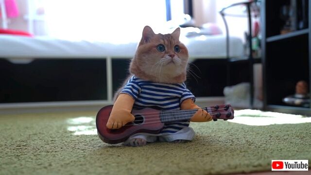 guitar2_640