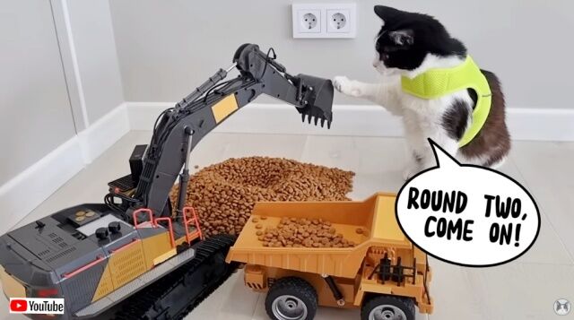 20230401_110530 (6)_batch