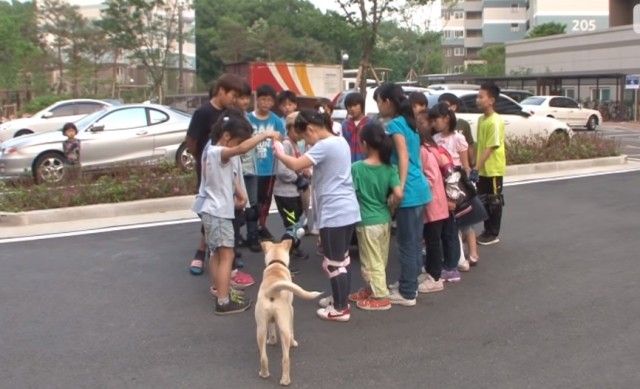 sbsdog11_e