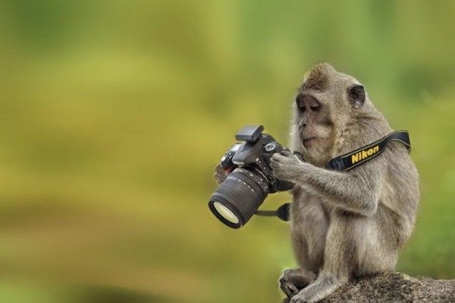 photographers8_e