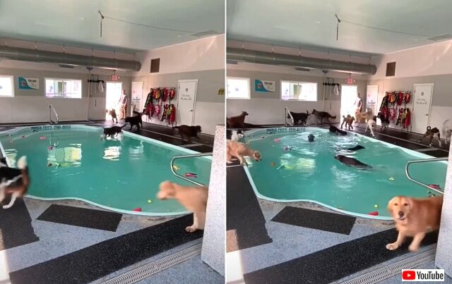 poolparty1_640