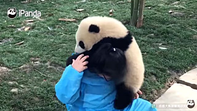 pandananny3