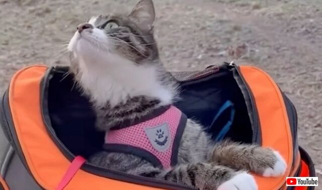 20221009_055536 (4)_batch