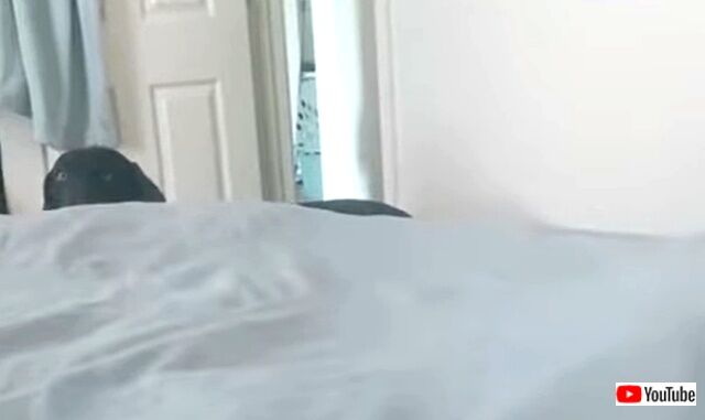 asleep2_640