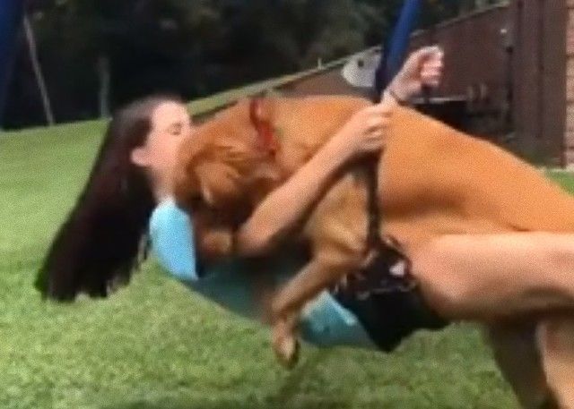 dogwantstoswing0_e