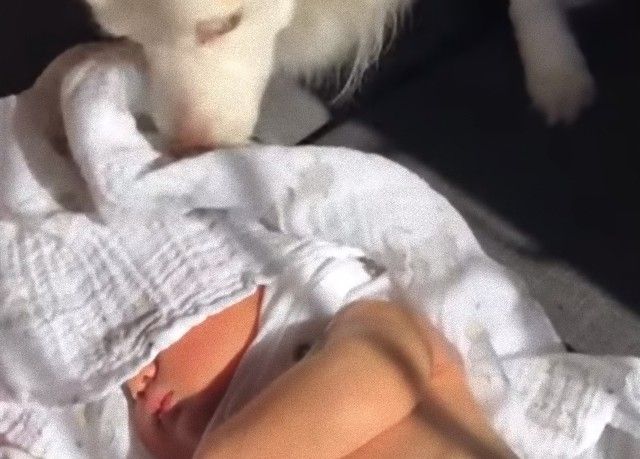 protectbabyfromsun0_e