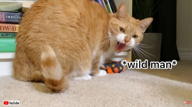 20221109_111926_batch