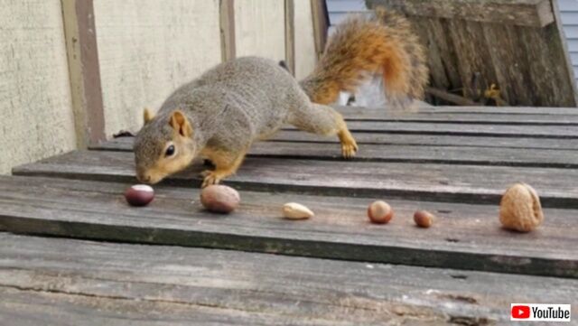 20231215_075959 (5)_batch