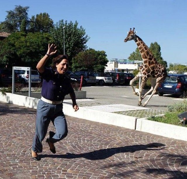 unexpected9_e