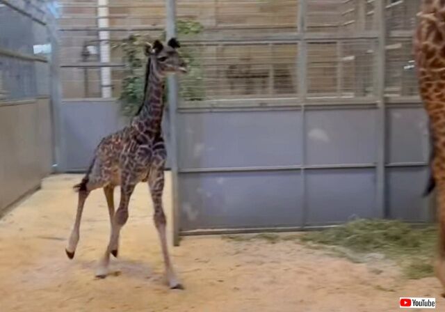 20230130_114409 (4)_batch