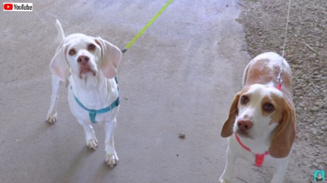 20230520_235839 (2)_batch